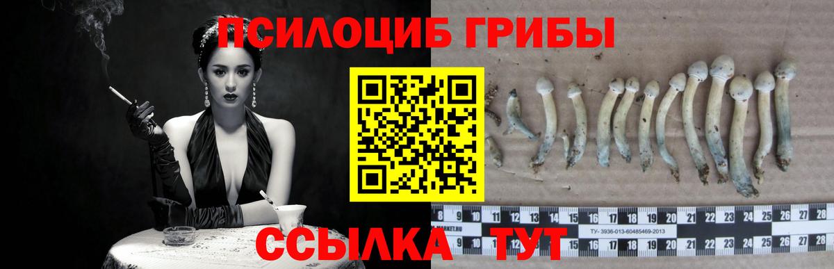 Галлюциногенные грибы Cubensis  Псилоцибиновые грибы прущие грибы  Вход с VPN  Чусовой 